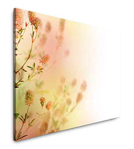 Paul Sinus Art pastellfarbene Blumen 40 x 60 cm Inspirierende Fotokunst in Museums-Qualität für Ihr Zuhause als Wandbild auf Leinwand in Paul Sinus Art pastellfarbene Blumen 40 x 60 cm Inspirierende Fotokunst in Museums-Qualität für Ihr Zuhause als Wandbild auf Leinwand in von Paul Sinus Art