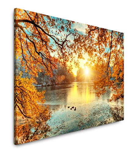 Paul Sinus Art schöne bunte Bäume 60 x 90 cm Inspirierende Fotokunst in Museums-Qualität für Ihr Zuhause als Wandbild auf Leinwand in von Paul Sinus Art