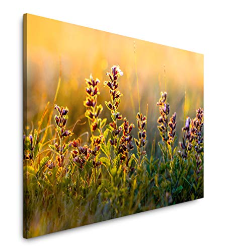 Paul Sinus Art wilde Blumen und Gräser 60 x 90 cm Inspirierende Fotokunst in Museums-Qualität für Ihr Zuhause als Wandbild auf Leinwand in von Paul Sinus Art