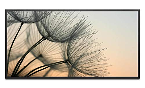 Pusteblumen ca. 130x70cm Wandbild inklusive Schattenfugenrahmen schwarz - Panorama Leinwand Bild XXL Format Wandbilder Wohnzimmer Wohnung Deko Kunstdrucke von Paul Sinus Art