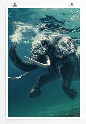Sinus Art Kunst und Deko Poster - Tierfotografie – Schwimmender Elefant unter Wasser- Fotodruck in gestochen scharfer Qualität Sinus Art Kunst und Deko Poster - Tierfotografie – Schwimmender Elefant unter Wasser- Fotodruck in gestochen scharfer Qualität von Paul Sinus Art