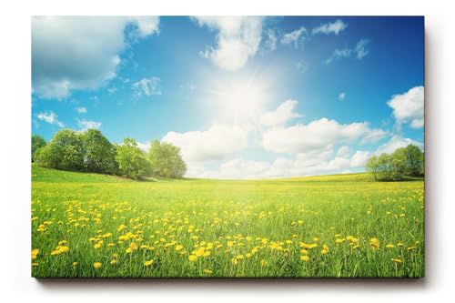 Sinus Art Wandbild 60x40cm Weite Frühlingswiese mit gelben Blüten und strahlendem Himmel für fröhliche Atmosphäre Sinus Art Wandbild 60x40cm Weite Frühlingswiese mit gelben Blüten und strahlendem Himmel für fröhliche Atmosphäre von Paul Sinus Art