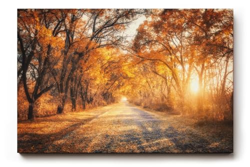 Sinus Art Wandbild 90x60cm Faszinierende Herbstallee mit goldenen Blättern und Lichtspiel in der Natur von Paul Sinus Art