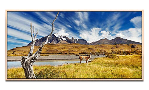 Tiere in Chile ca. 130x70cm Wandbild inklusive Schattenfugenrahmen naturfarbend - Panorama Leinwand Bild XXL Format Wandbilder Wohnzimmer Wohnung Deko Kunstdrucke von Paul Sinus Art