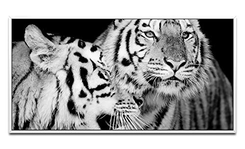 Tiger Portrait ca. 130x70cm Wandbild inklusive Schattenfugenrahmen Weiss - Panorama Leinwand Bild XXL Format Wandbilder Wohnzimmer Wohnung Deko Kunstdrucke von Paul Sinus Art