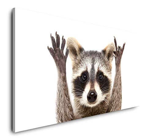 Waschbär Portrait 120x 60cm Panorama Leinwand Bild XXL Format Wandbilder Wohnzimmer Wohnung Deko Kunstdrucke von Paul Sinus Art