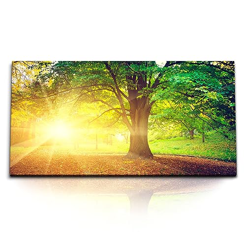 Kunstdruck Bilder 120x60cm Großer Baum Park Herbst Herbstblätter Sonnenstrahl von Paul Sinus