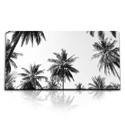 Kunstdruck Bilder 120x60cm Palmen Palmblätter Schwarz Weiß Himmel Kunstvoll von Paul Sinus