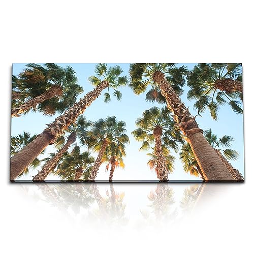 Kunstdruck Bilder 120x60cm Palmen Palmblätter Sonnenschein Süden Sommer von Paul Sinus
