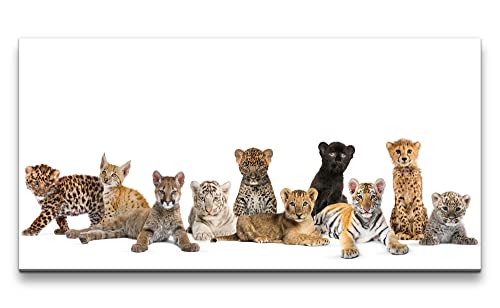 Paul Sinus Leinwandbild 120x60cm Kleine Katzenbabys Tiger Lux Jaguar Gepard Kinderzimmer Süß von Paul Sinus