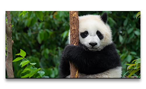 Leinwandbild 120x60cm Kleiner Panda Baum Süß Flauschig Lustig von Paul Sinus