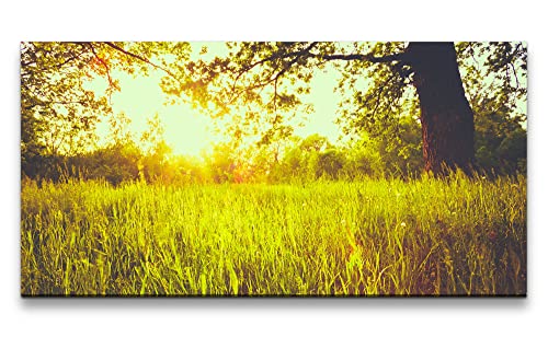Paul Sinus Leinwandbild 120x60cm Natur Baum Feld Sommer Sonnenstrahlen Schön Beruhigend von Paul Sinus