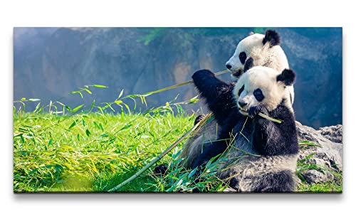 Leinwandbild 120x60cm Panda Pandabär Flauschig Süß Lieblich Niedlich Natur von Paul Sinus