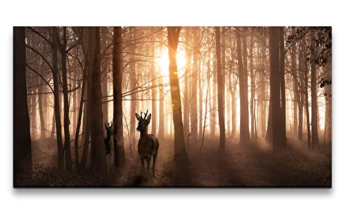 Paul Sinus Leinwandbild 120x60cm Rehe Wald Sonnenstrahl Bäume Natur Stille von Paul Sinus