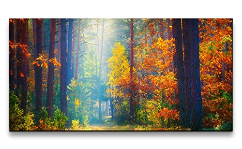 Paul Sinus Leinwandbild 120x60cm Schöner Wald Herbst Sonnenstrahl Lichtung Natur von Paul Sinus