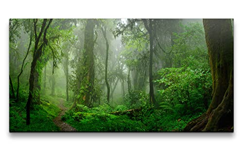 Paul Sinus Leinwandbild 120x60cm Wald Moos Grün Feucht Natur Bäume Nebel von Paul Sinus