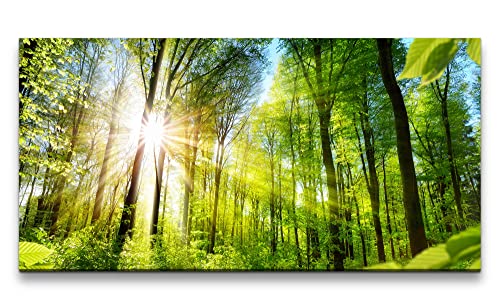 Leinwandbild 120x60cm Wald Natur Sonnenstrahlen Friedlich Bäume Baumkronen Grün von Paul Sinus
