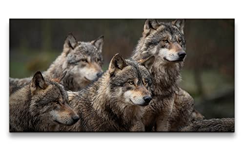 Paul Sinus Leinwandbild 120x60cm Wölfe Wolfsrudel Rudel Wild Wildnis schöne Tiere von Paul Sinus