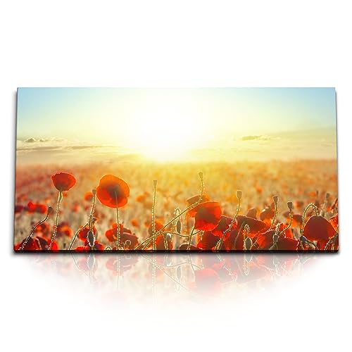Paul Sinus 120x60cm Wandbild - farbenfrohe Natur mit Mohnblumen im Sonnenlicht, Leinwandbild Naturmotiv für eine warme und friedliche Atmosphäre von Paul Sinus
