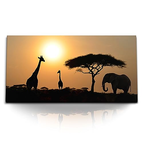 Paul Sinus Kunstdruck Bilder 120x60cm Afrika Elefant Giraffen Sonnenuntergang Abend von Paul Sinus