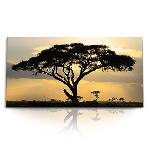 Paul Sinus Kunstdruck Bilder 120x60cm Afrikanische Landschaft Burkea Baum Sonnenuntergang von Paul Sinus