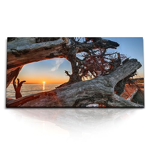 Paul Sinus Kunstdruck Bilder 120x60cm Altes Treibholz Sonnenuntergang Meer Strand Baumstamm Paul Sinus Kunstdruck Bilder 120x60cm Altes Treibholz Sonnenuntergang Meer Strand Baumstamm von Paul Sinus