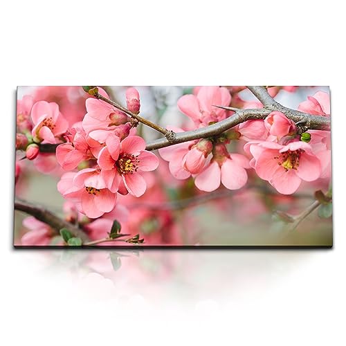 Paul Sinus Kunstdruck Bilder 120x60cm Baumblüten Frühling Blüten Rosa Ast Baum von Paul Sinus