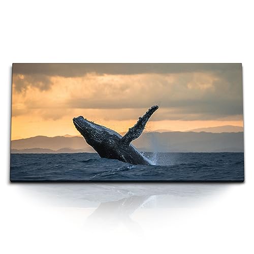 Paul Sinus Kunstdruck Bilder 120x60cm Buckelwal Wal Meer Ozean Horizont Sonnenuntergang Berge von Paul Sinus
