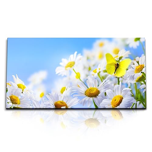 Paul Sinus Kunstdruck Bilder 120x60cm Gänseblümchen Schmetterling Sommer Blumen blauer Himmel von Paul Sinus