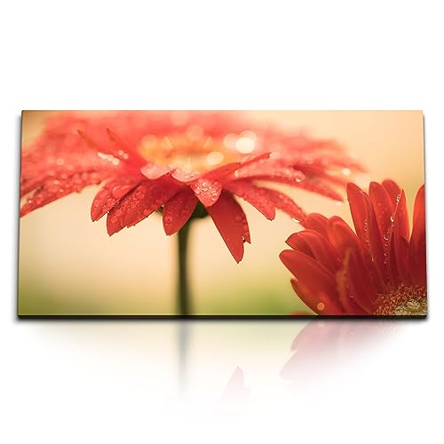 Paul Sinus Kunstdruck Bilder 120x60cm Gerbera Blumen Blüten Rot Wassertropfen Kunstvoll von Paul Sinus