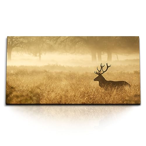 Paul Sinus Kunstdruck Bilder 120x60cm Hirsch Grasland Natur Waldrand Morgentau von Paul Sinus