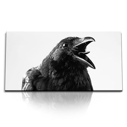 Paul Sinus Kunstdruck Bilder 120x60cm Krähe schwarzer Vogel Tierfotografie Rabe von Paul Sinus