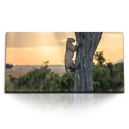 Paul Sinus Kunstdruck Bilder 120x60cm Leopard auf Baum Tierfotografie Raubkatze Landschaft von Paul Sinus