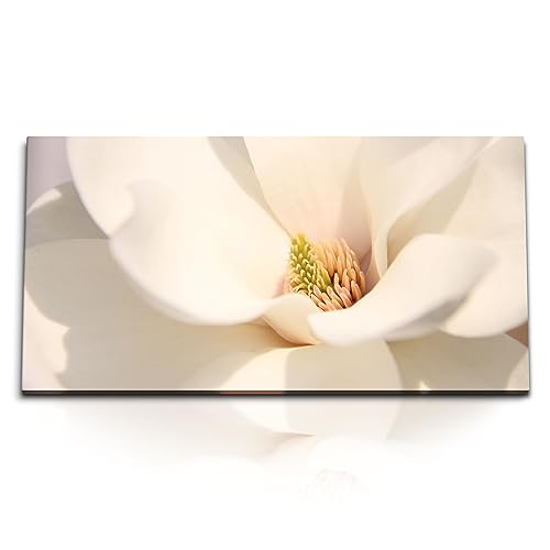 Paul Sinus Kunstdruck Bilder 120x60cm Magnolia Blume Weiße Blüte Makrofotografie Kunstvoll von Paul Sinus