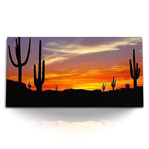 Paul Sinus Kunstdruck Bilder 120x60cm Mexikanische Landschaft Abendrot Kakteen roter Horizont von Paul Sinus
