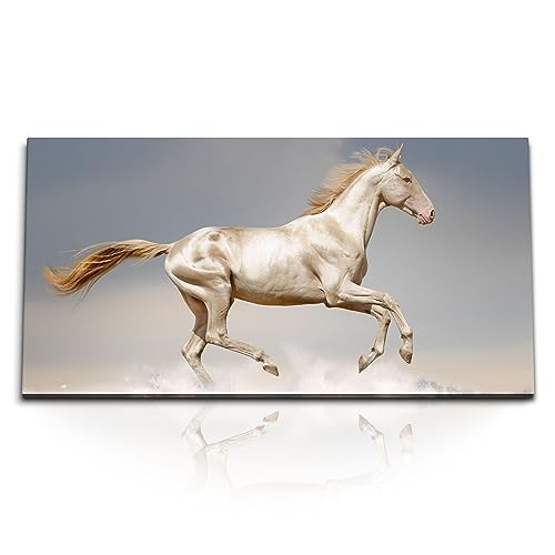 Paul Sinus Kunstdruck Bilder 120x60cm Perlino Pferd Tierfotografie Hengst Wild von Paul Sinus