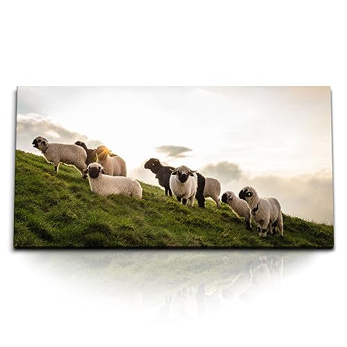 Paul Sinus Kunstdruck Bilder 120x60cm Schafe Weide Schafherde Schottland Wiese Natur von Paul Sinus