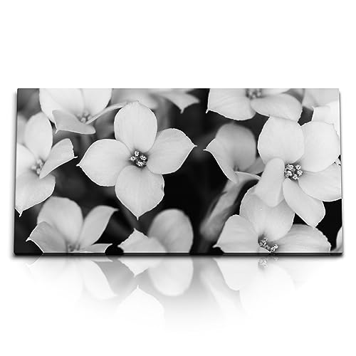 Paul Sinus Kunstdruck Bilder 120x60cm Schwarz Weiß Fotografie Blumen weiße Blüten von Paul Sinus