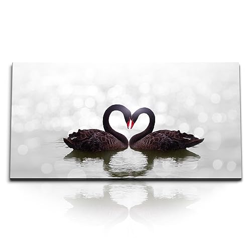 Paul Sinus Kunstdruck Bilder 120x60cm Schwarze Schwäne Pärchen Herz Herzform See Paul Sinus Kunstdruck Bilder 120x60cm Schwarze Schwäne Pärchen Herz Herzform See von Paul Sinus