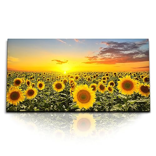 Paul Sinus Kunstdruck Bilder 120x60cm Sonnenblumenfeld Sonnenblumen Gelb Sonnenuntergang von Paul Sinus