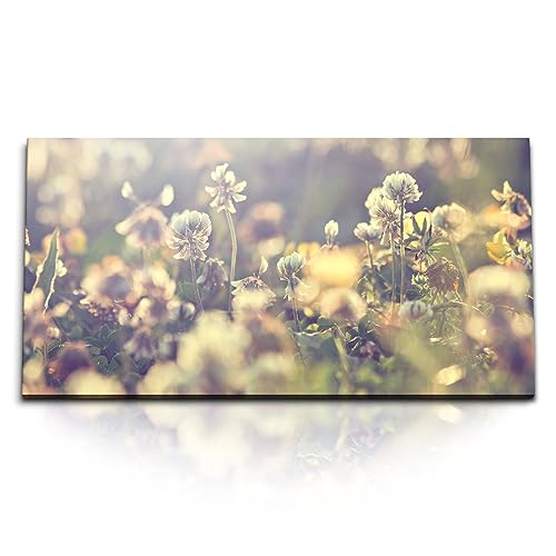 Paul Sinus Kunstdruck Bilder 120x60cm Sonnenschein Blumenwiese Natur Wildblumen Feldblumen von Paul Sinus