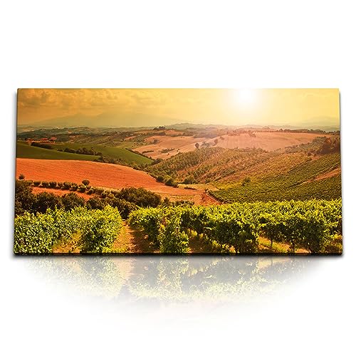 Paul Sinus Kunstdruck Bilder 120x60cm Weinfelder Weinreben Natur Landschaft Sonnenuntergang von Paul Sinus
