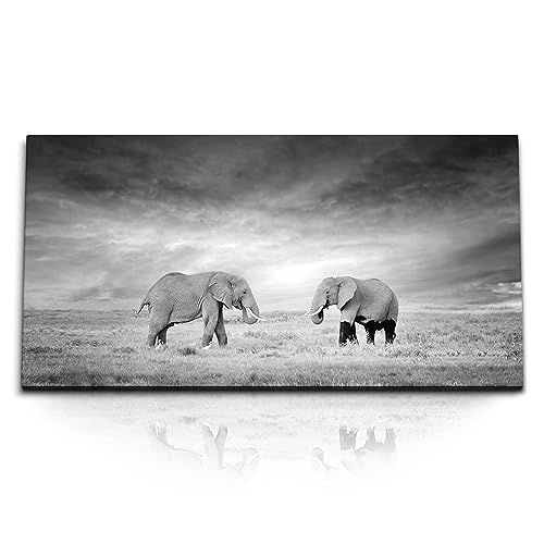 Paul Sinus Kunstdruck Bilder 120x60cm Zwei Elefanten Schwarz Weiß Tierfotografie Afrika von Paul Sinus