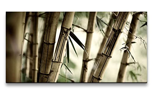 Paul Sinus Leinwandbild 120x60cm Bambus Bambuswald Asien Fotokunst Kunstvoll Natur Harmonie Paul Sinus Leinwandbild 120x60cm Bambus Bambuswald Asien Fotokunst Kunstvoll Natur Harmonie von Paul Sinus