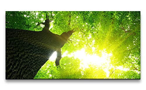 Paul Sinus Leinwandbild 120x60cm Baum Baumkrone Sonnenstrahlen Grün Natur Entspannend von Paul Sinus