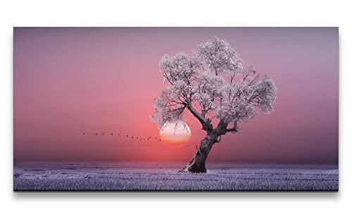 Paul Sinus Leinwandbild 120x60cm Einsamer Baum Frost Sonne Horizont Vögel Märchenhaft von Paul Sinus