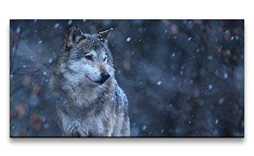 Paul Sinus Leinwandbild 120x60cm Grauer Wolf Mystisch Geheimnisvoll schönes Tier Schnee von Paul Sinus
