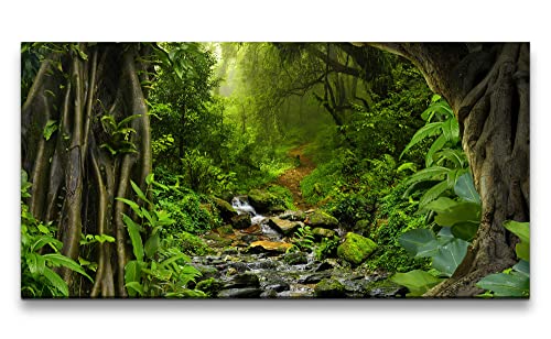 Paul Sinus Leinwandbild 120x60cm Grüner Wald Bach Natur Wasser Leben Pflanzen von Paul Sinus