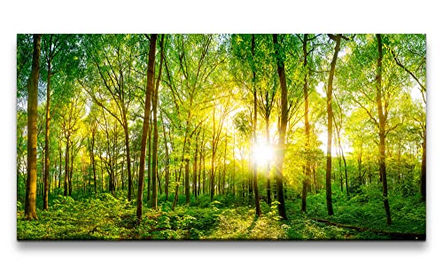 Paul Sinus Leinwandbild 120x60cm Grüner Wald Sonnenstrahlen Natur Schön Bäume Harmonie von Paul Sinus