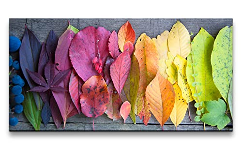 Paul Sinus Leinwandbild 120x60cm Herbstblätter Blätter Herbst Fotokunst schöne Farben Natur von Paul Sinus